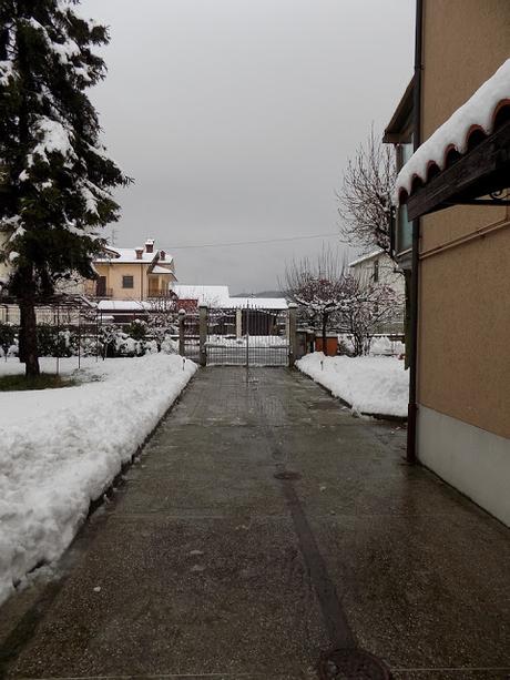 Neve marzolina