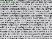 richiesta degli agricoltori: consorzi bonifica diano immediatamente l’acqua