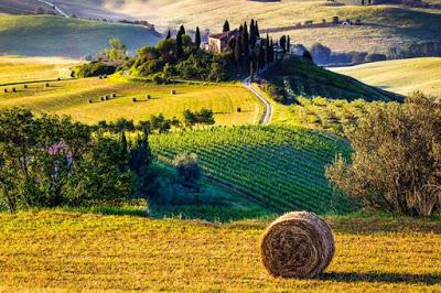 Tecnicismi o racconti emozionali? Le degustazioni si sfidano ad Orcia