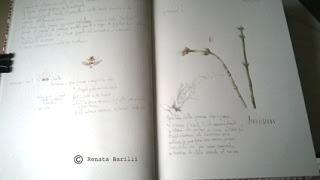 Sketching di primavera Sketching di primavera