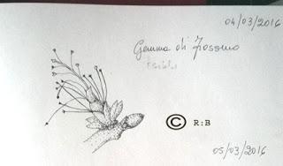 Sketching di primavera Sketching di primavera