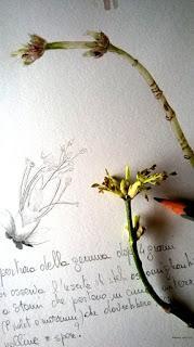 Sketching di primavera Sketching di primavera