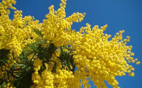 Festa della Donna 2016 a Napoli: gli eventi in città