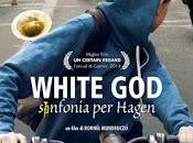 White Sinfonia Hagen