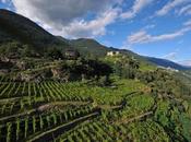 L'eroico rosso replica settembre: scena Sforzato