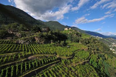 L'eroico rosso replica a settembre: in scena lo Sforzato