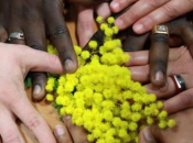 Festa della donna: discriminazione all’economia globale costa 12mld dollari l’anno