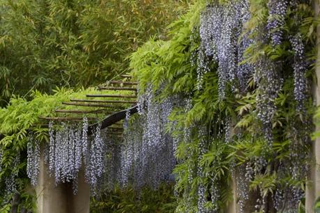 Villa della Pergola ad Alassio: riapertura con tante novità