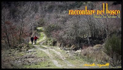 raccontare nel bosco