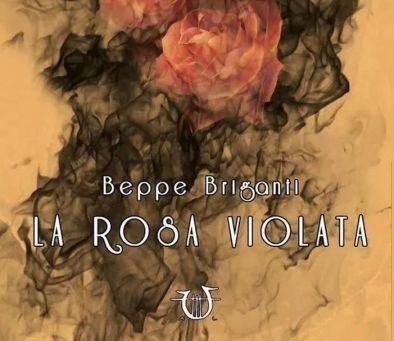 la rosa violata