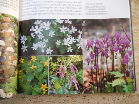 Il giardino svelato, Blu Edizioni