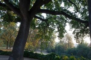 Pasquetta: un’avventura nel parco di una villa incantata nel cuore del Piceno