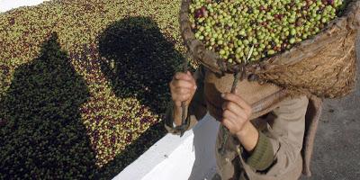 La faccenda dell’olio tunisino