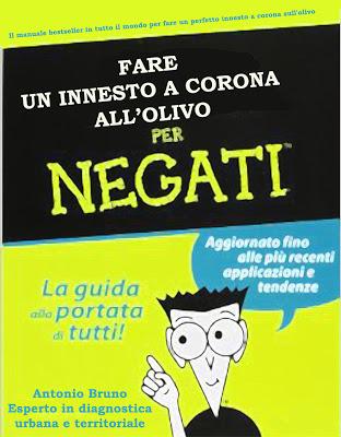 FARE UN INNESTO A CORONA ALL'OLIVO PER NEGATI