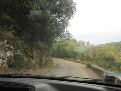 Corsica- viaggio verso Corti