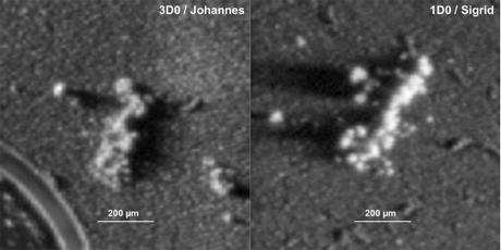 Identikit di un grano di polvere di cometa