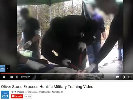 Animali mutilati per addestramento militare