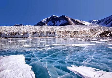 Antartide: i ghiacci nascondono nuove forme di vita