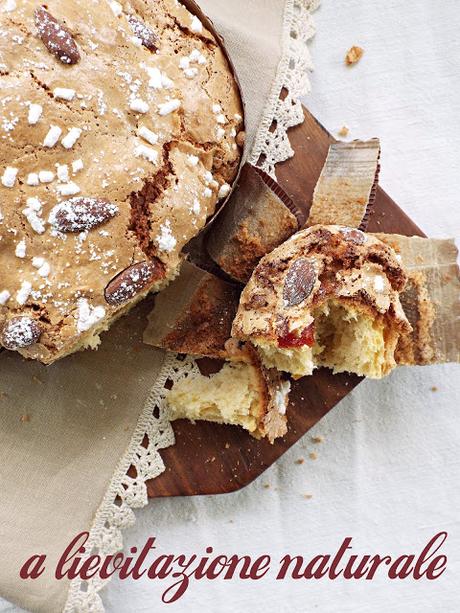 Colomba classica con canditi esotici a lievitazione naturale