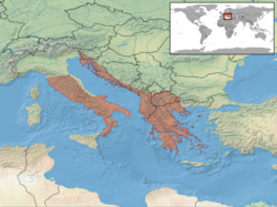 Il serpente più grande in Italia? Il Cervone
