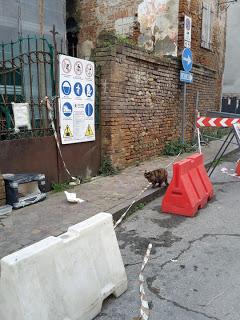 Welcome to Fidenza: il comune multa sé stesso e tollera le brutture