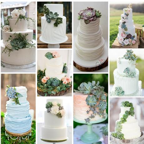 Piante succulente per il matrimonio