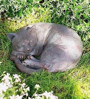 Aprile, dolce dormire