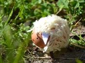 Uova Decorate: Animaletti Segnaposto