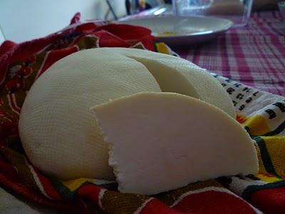 IL FORMAGGIO fatto in casa