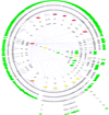 Graphviz ricco insieme di strumenti per il disegno di grafi che consente lo studio di informazioni strutturali.