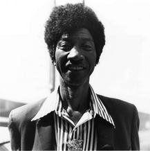 28 - Hound Dog Taylor