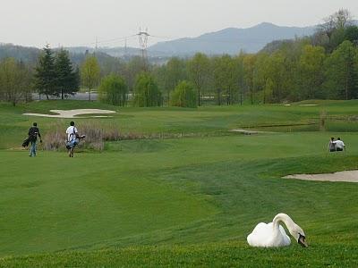 La prima tappa dell'Italian Golf Tour al Golf club Villa Paradiso