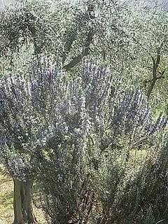 Rifacciamoci gli occhiii!!!