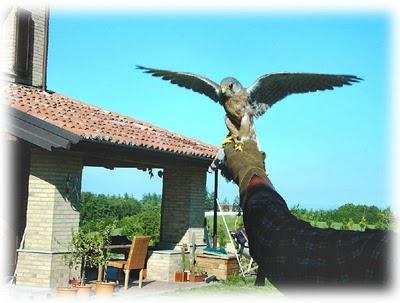 Cocò si gode il primo sole Cocò si gode il primo sole