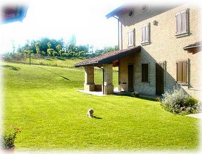 Cocò si gode il primo sole Cocò si gode il primo sole