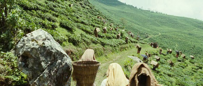 Review 2011 - The Way Back