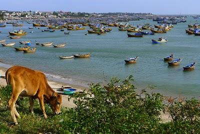 Vietnam centro e sud - Huè, Hoi An, Nha Trang, Mui Ne, Mekong Delta