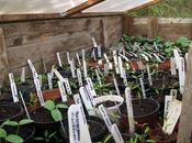 posto semenzaio”, anno terzo: prime nascite