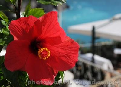 Luci, colori e profumi di POSITANO