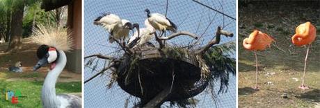 UNA GIORNATA IN MEZZO ALLA NATURA