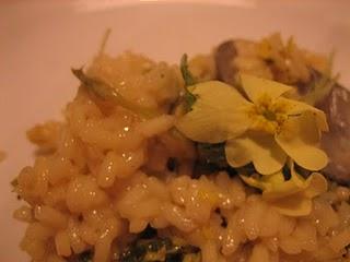 Risotto con le primule