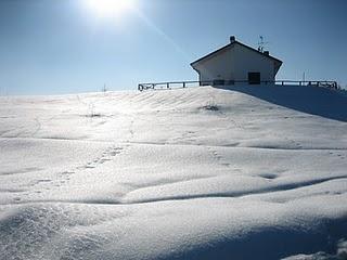 La neve e le sue meraviglie