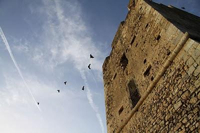 il calar del sole su Torre Mozza