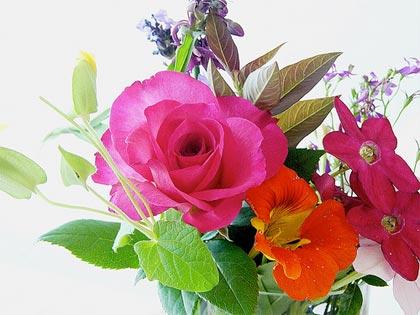 10 consigli utili per conservare più a lungo i fiori recisi