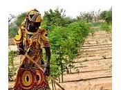 Contro l’Occidente sprecone. L’Africa coltiva sostenibile