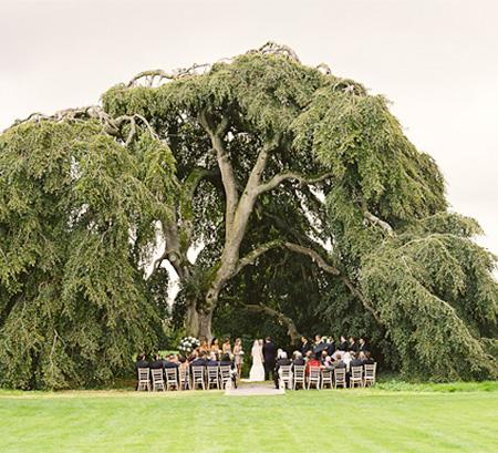 Theme | Irish Country | #02