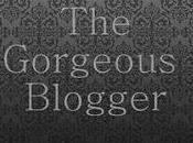Gorgeous Blogger