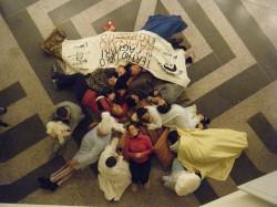 flash mob al teatro Lirico di Cagliari