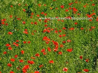 Una stagione: la primavera