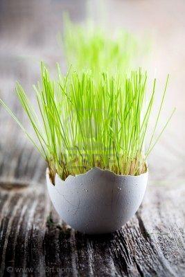 Ecco un’altra idea per un centrotavola pasquale all...